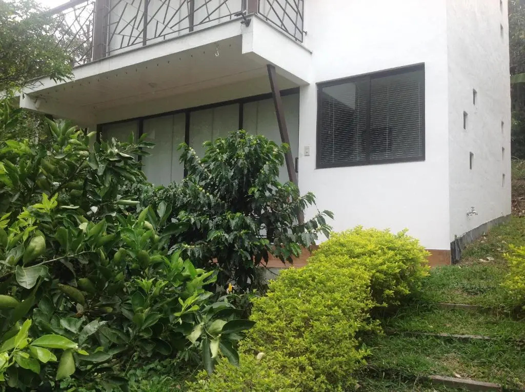 Standard Double room with garden view (full double bed)