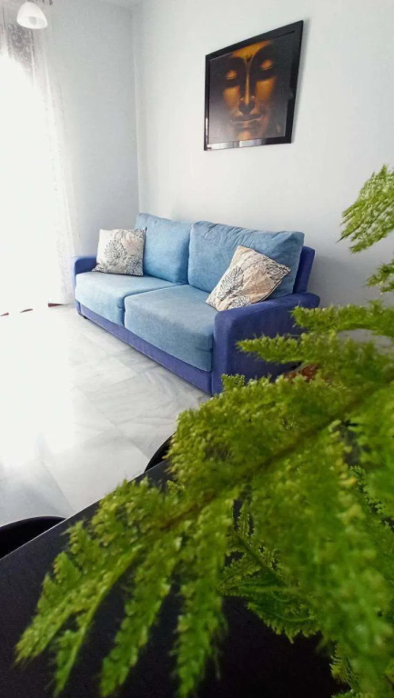 Botanic Suite Malaga Centro — 4