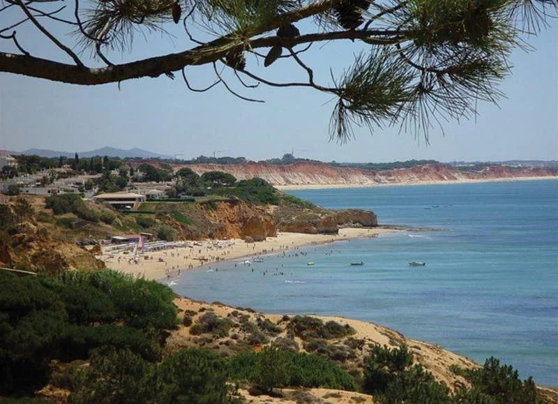 Beach & Waterfront