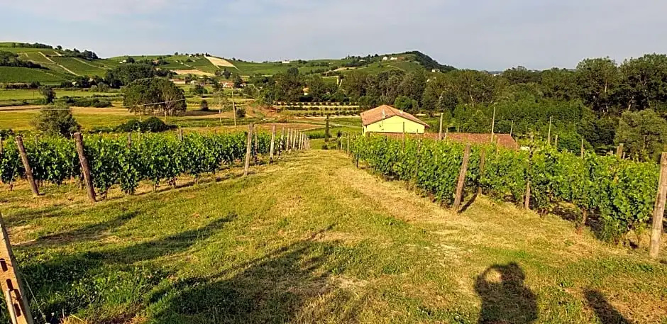 Villa Vigneto