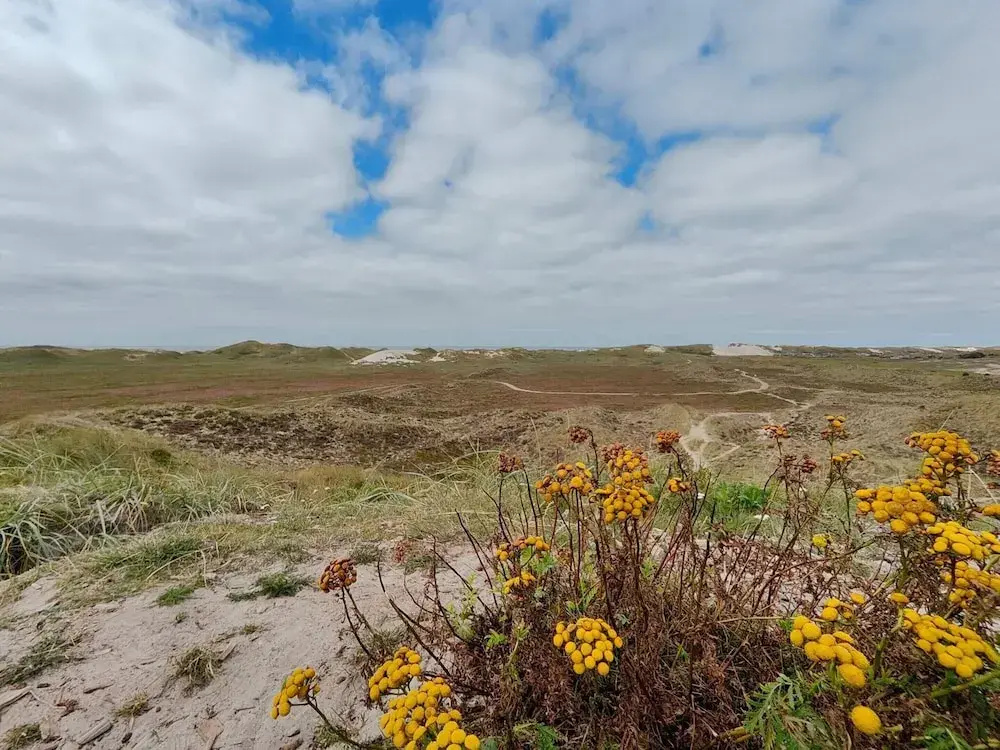 4 Star Holiday Home in Hvide Sande