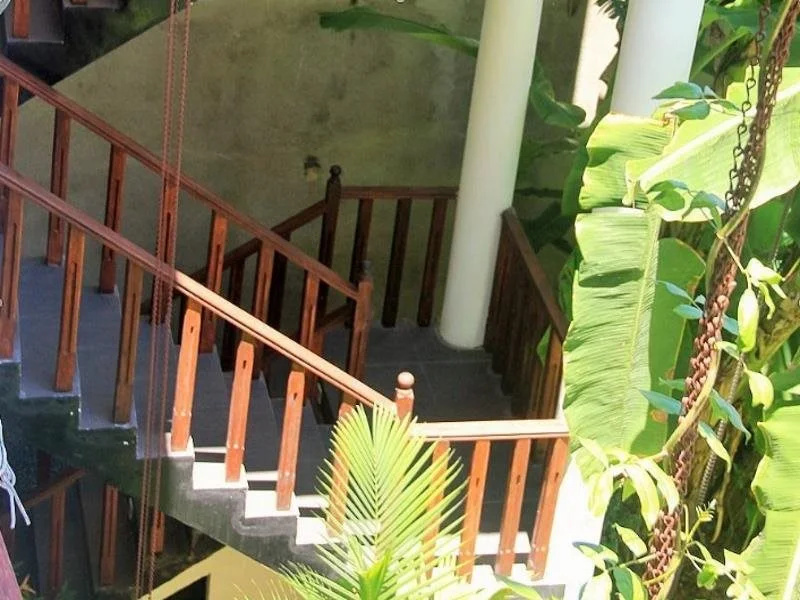 Tropicana Guesthouse - Général