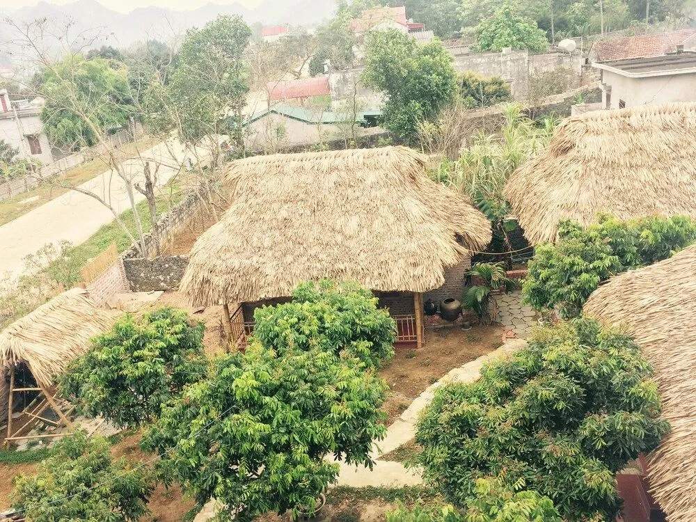 Ninh Binh bamboo
