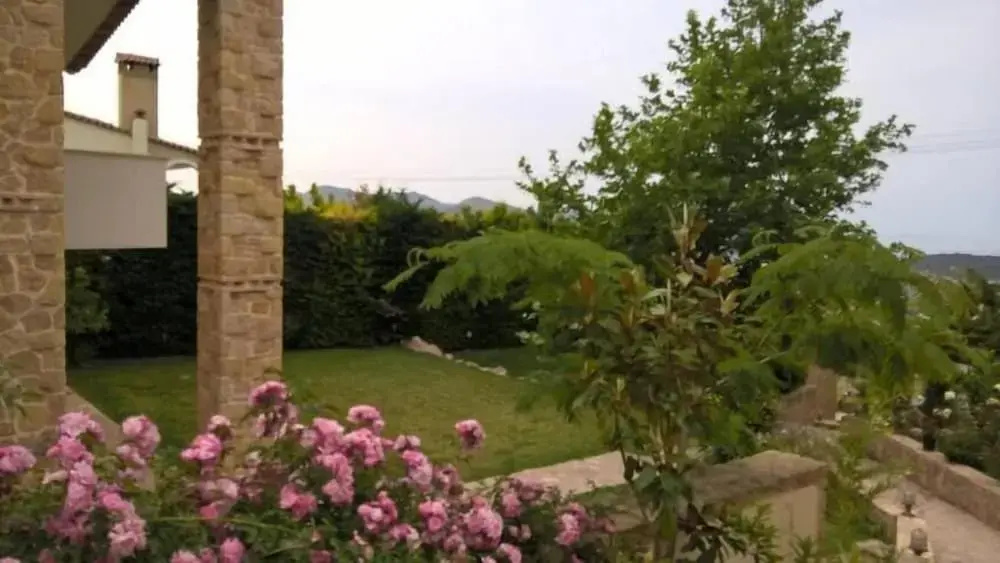 Platanus Gardenhouse