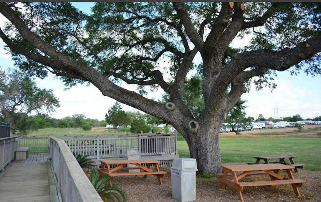 Hotel O Executive Inn & Suites Cuero Hwy 87
