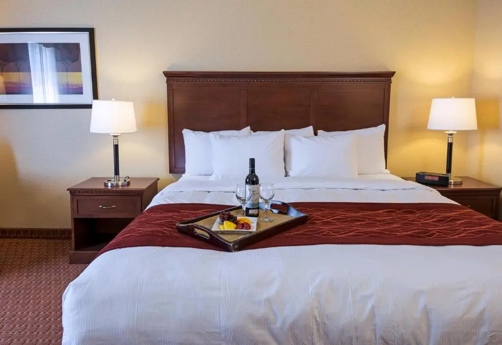 Comfort Hotel Airport - Chambres