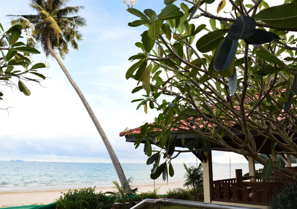 Beach & Waterfront