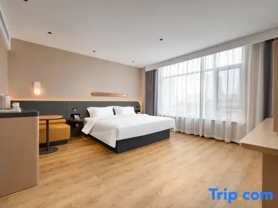 Standard Suite