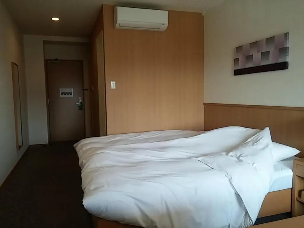 Standard Double room with park view (full double bed)