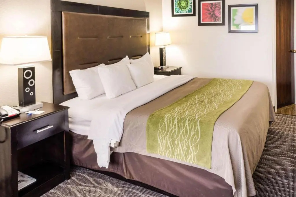 Fairfield by Marriott Inn & Suites Charleston Downtown - Chambres