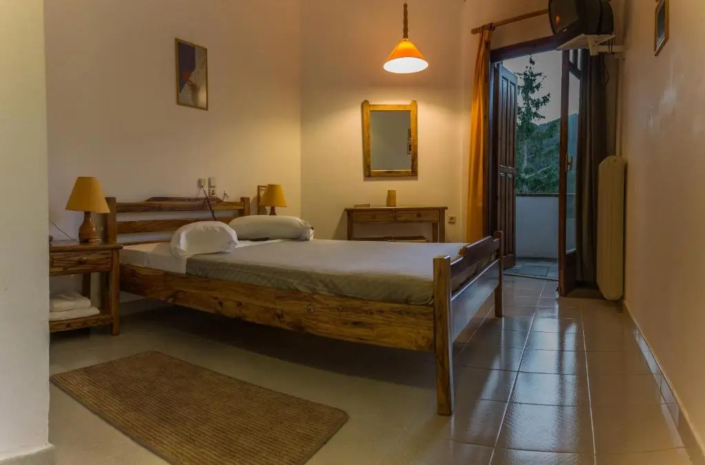 Standard Single room with mountain view
