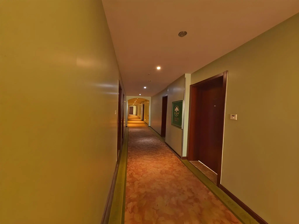 GreenTree Inn Shanghai Songjiang District Yanshou Road Li Tower - Général