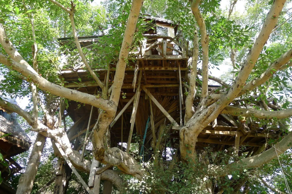 Pai Treehouse Resort - фото 21