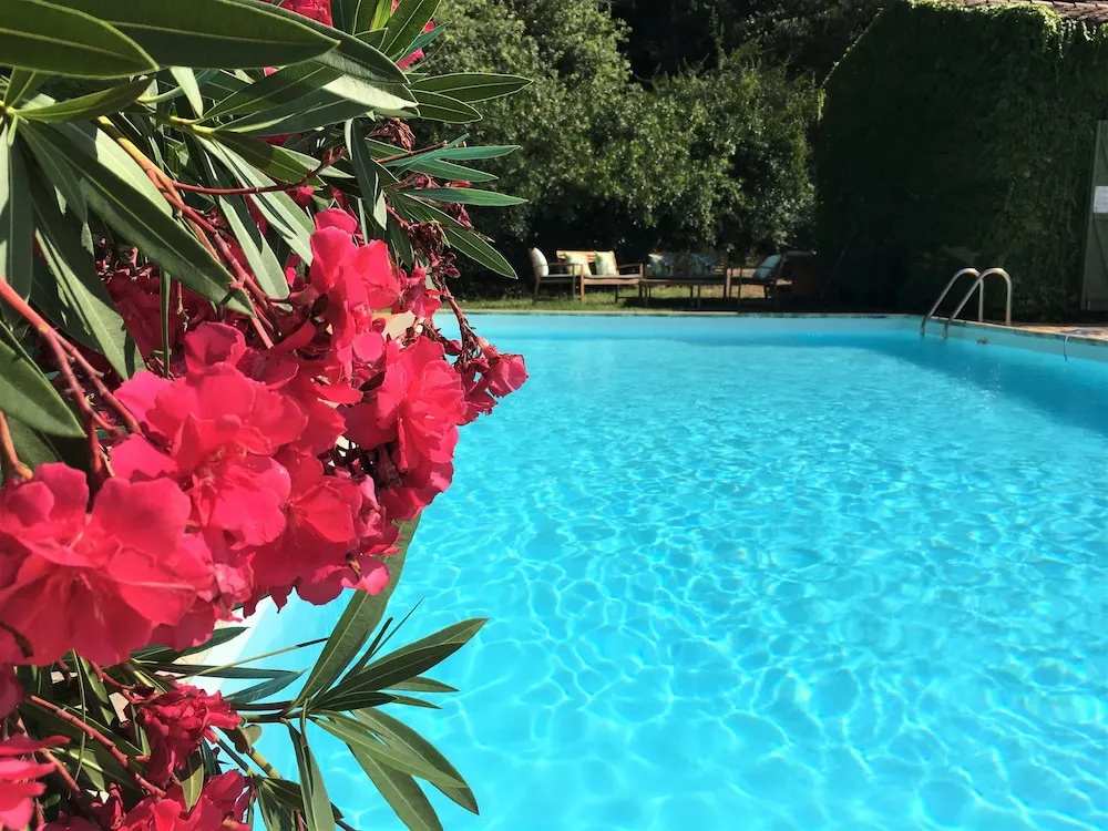 Afficher la photo 8 — Villa Fontane Cottage