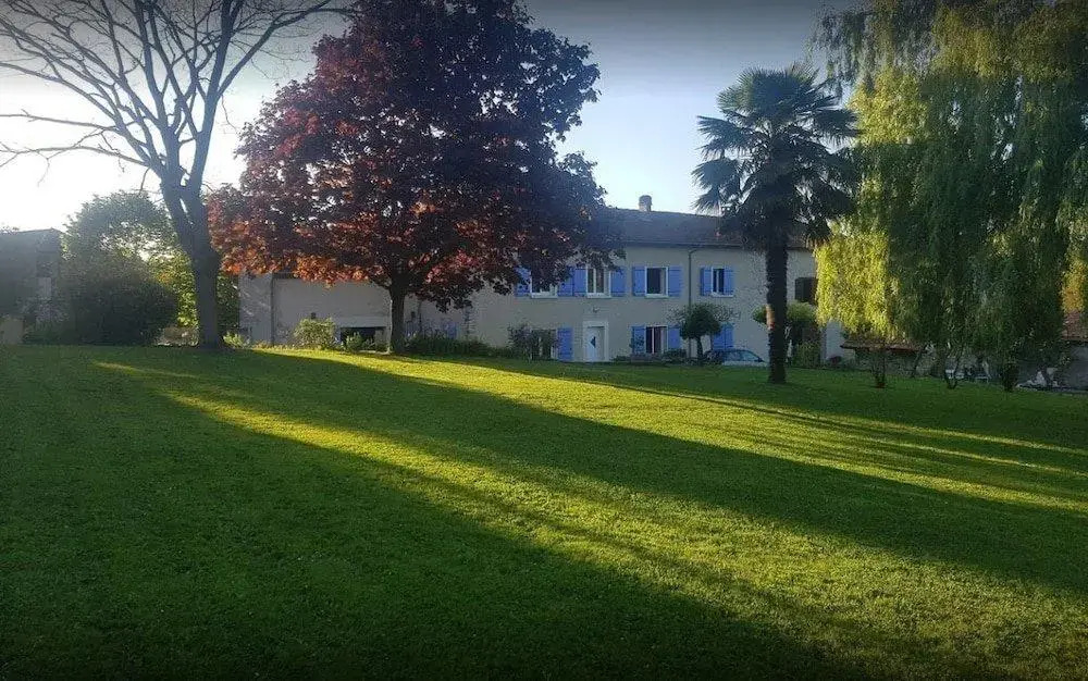 Image 11