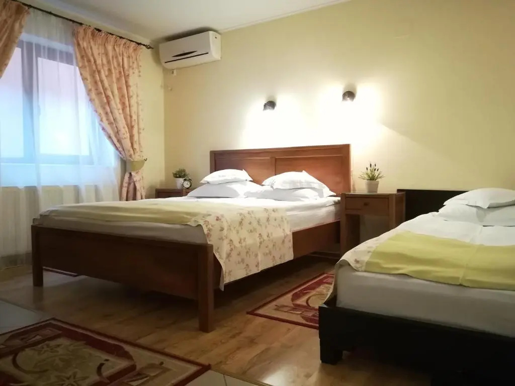Vila Toparceanu - Chambres