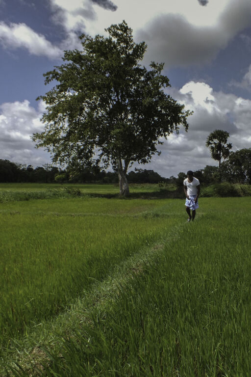 Uga Ulagalla