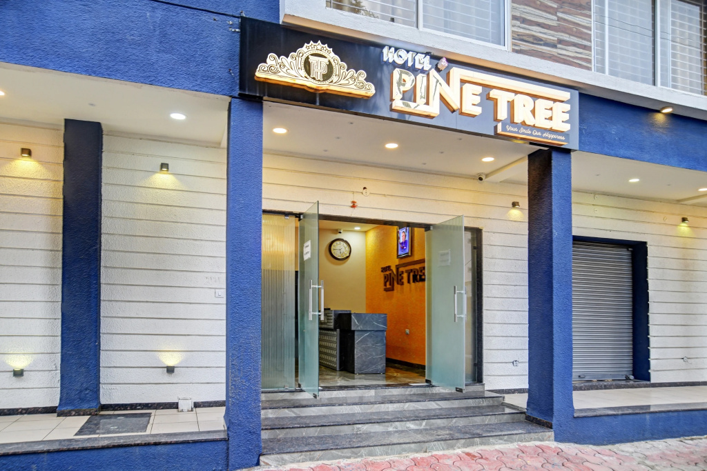 Townhouse Pine Tree