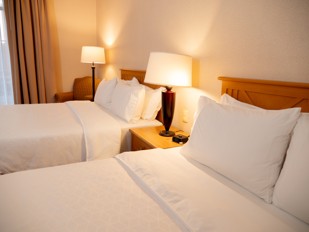 Holiday Inn Express Guanajuato by IHG - Général