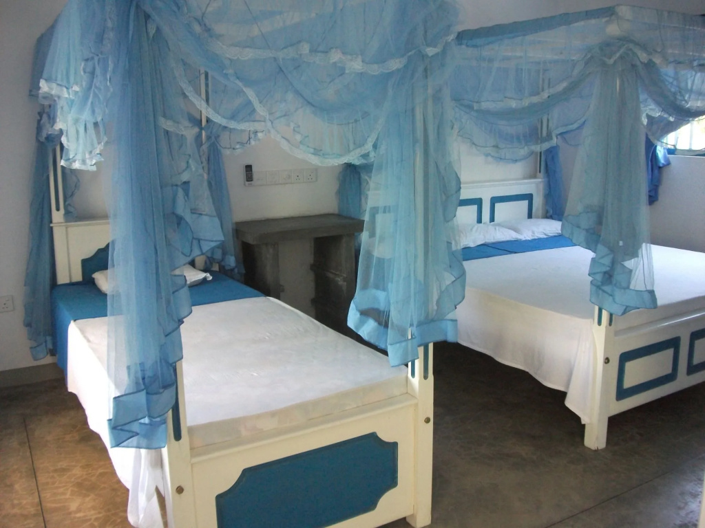 Zimmer Rest - Général