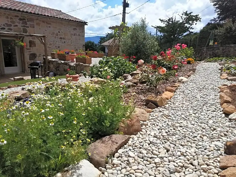 Kassanos