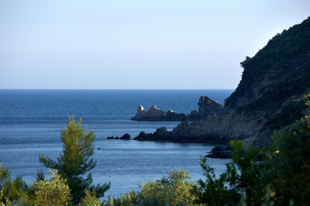 Image 14