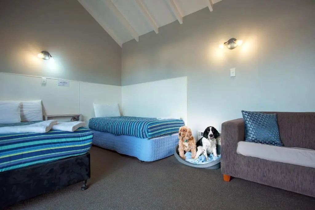 Economy room