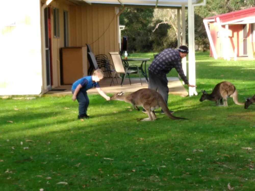 Kalgan River Chalets & Caravan Park