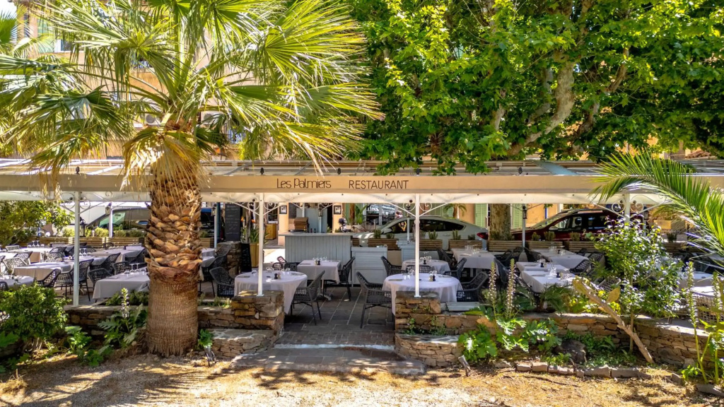 Hotel Les Palmiers - Général