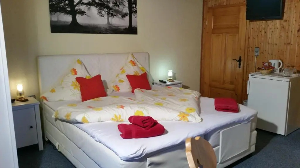 Standard Double room (full double bed)