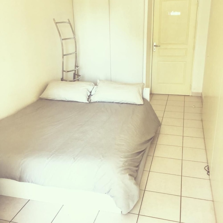 Appt Cosy Terrasse Parking CHU Mtp