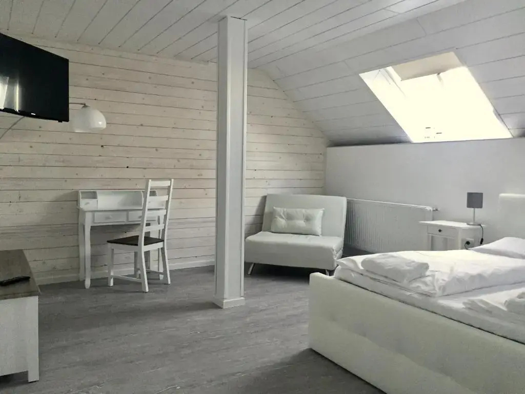 Comfort Double room (full double bed)