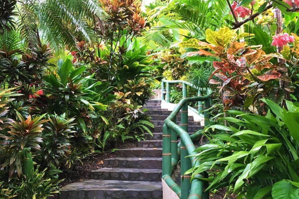 Si Como No Resort, Spa and Wildlife Refuge picture
