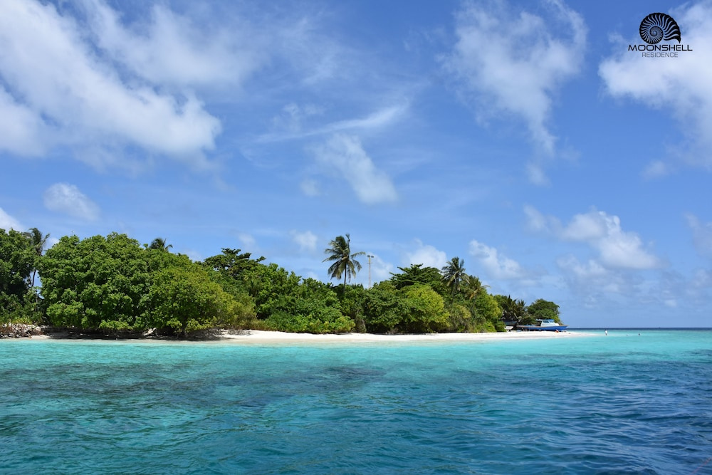 Beach & Waterfront