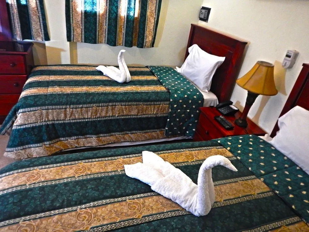 Hotel Salome 56 - Général
