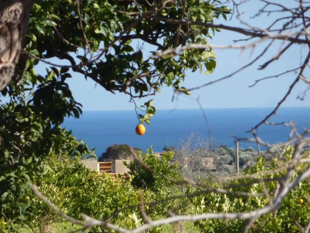 Apartment with sea view