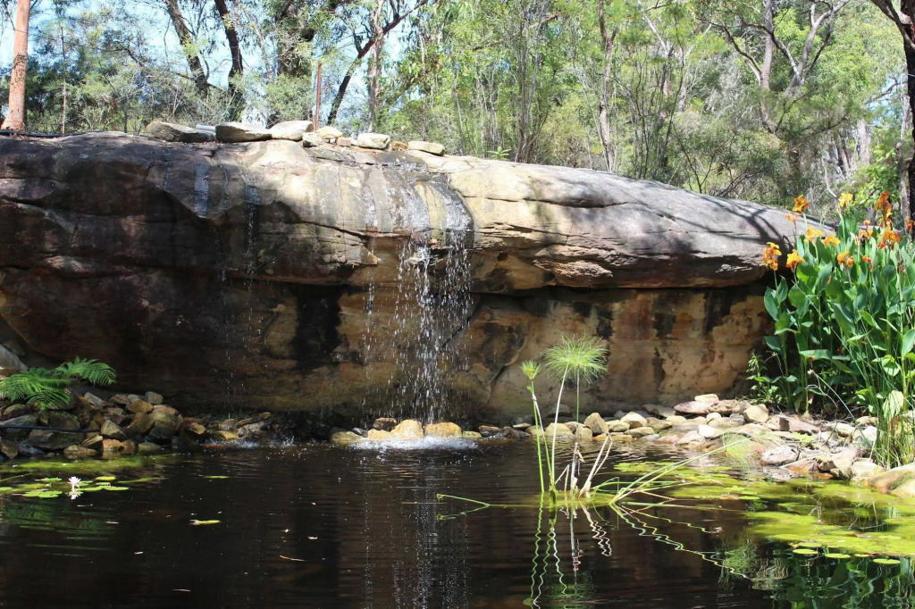 Image 11