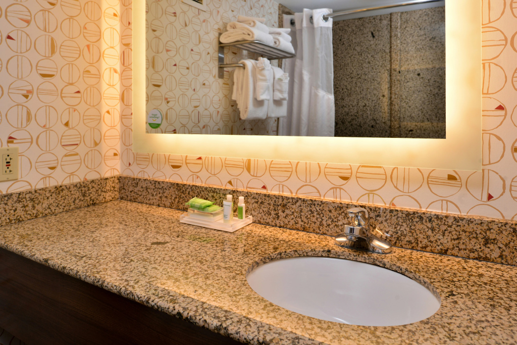 Holiday Inn Hotel & Suites Rochester - Marketplace by IHG - Général
