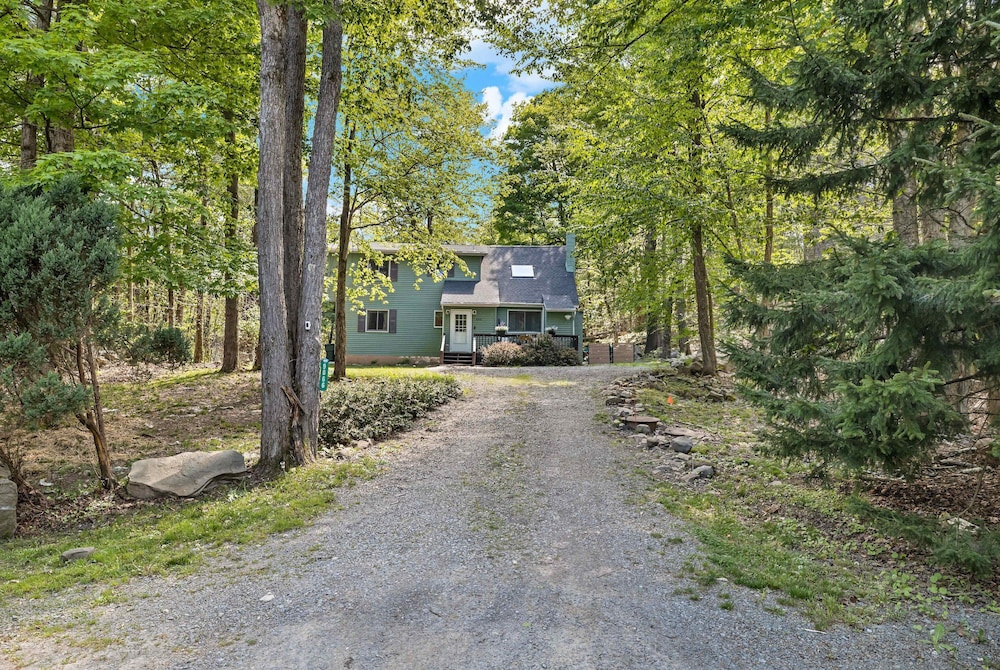 Dog Friendly Cabin w Hot Tub Sauna Fire Pit