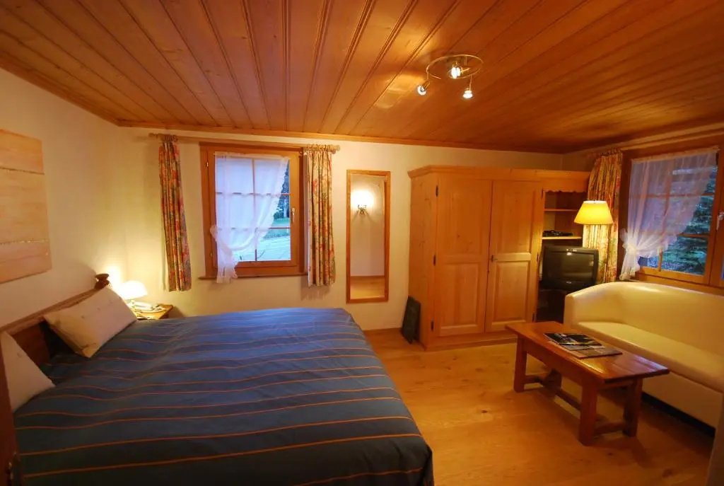 Standard Double room with street view (full double bed)