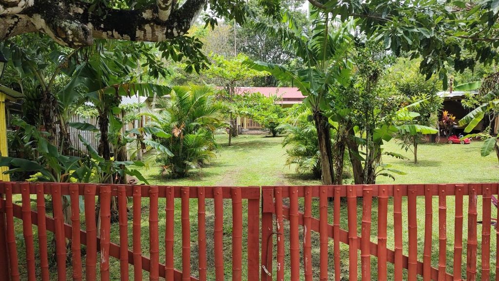 Cabañas Ixaya