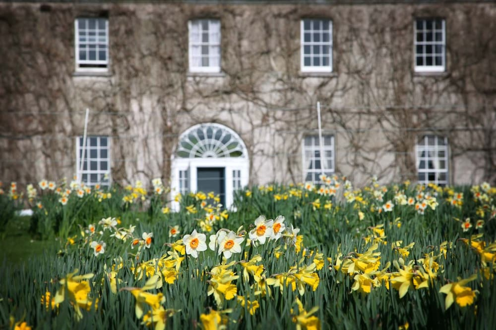 Ballymaloe House Hotel