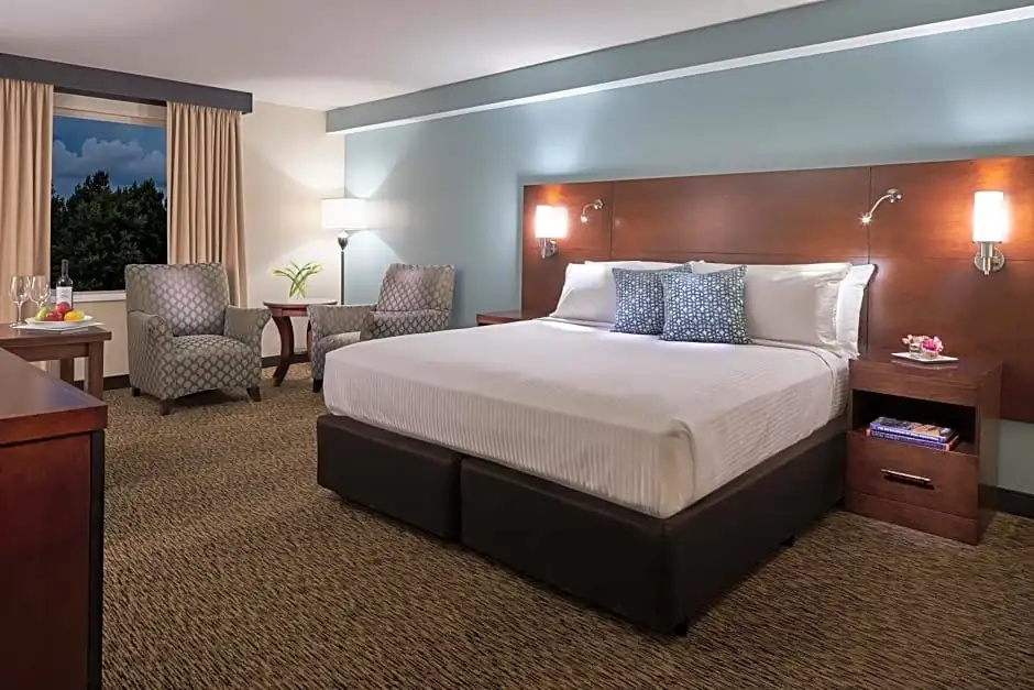 Deluxe Double room with courtyard view twin beds
