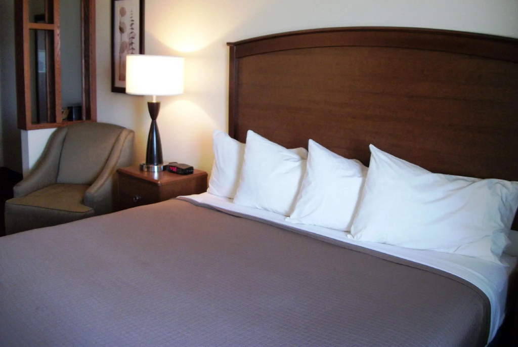 Double Suite (full double bed)