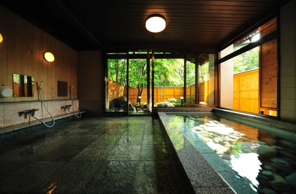 Sarugakyo Onsen Shojuen - Général