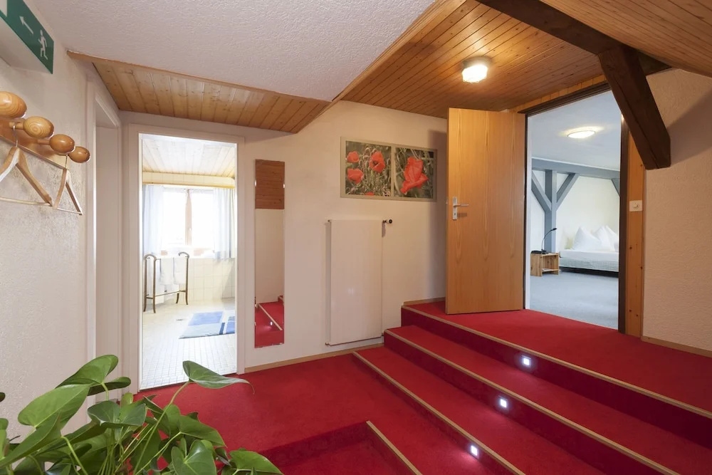 Velohotel Hirschen - Général