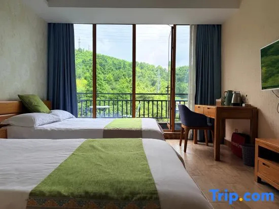 Deluxe Double room (twin beds)