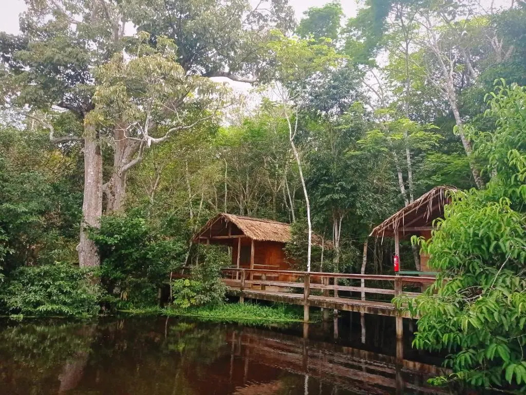 Dolphin Lodge
