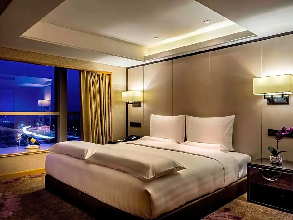 Deluxe Suite with city view