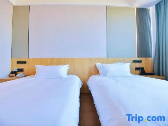 Business Double room (twin beds)
